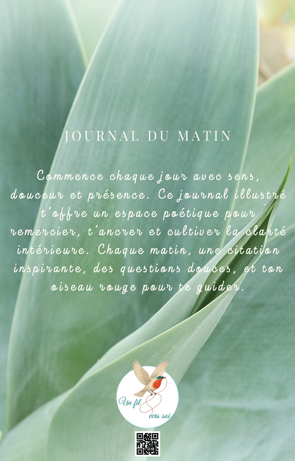 Âme Succulente - Pour honorer vos sensations et votre profondeur charnelle