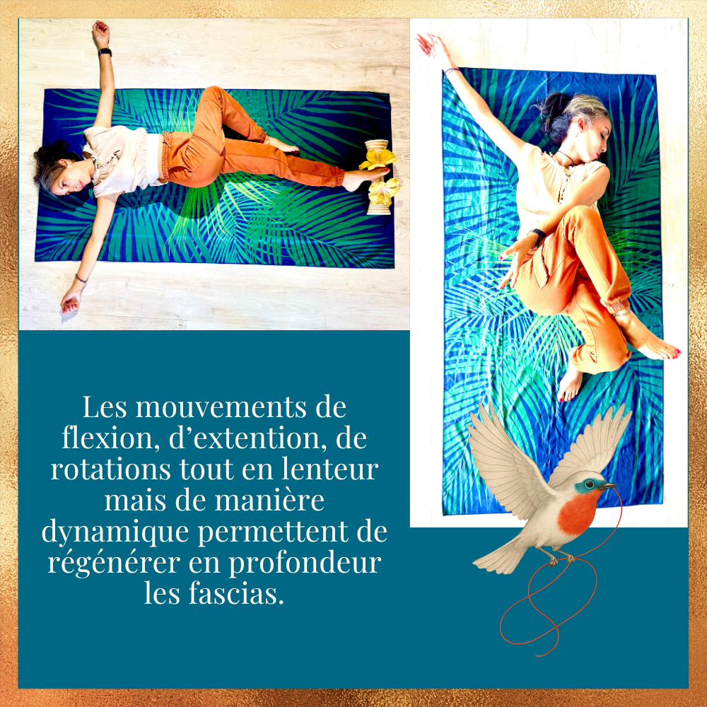 Réserver ma séance d'1 heure