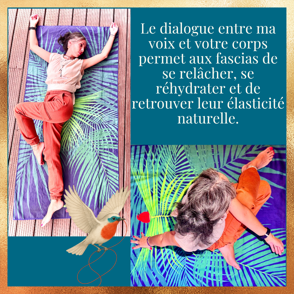 Réserver ma séance d'1 heure